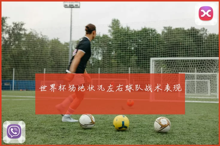 世界杯场地状况左右球队战术表现