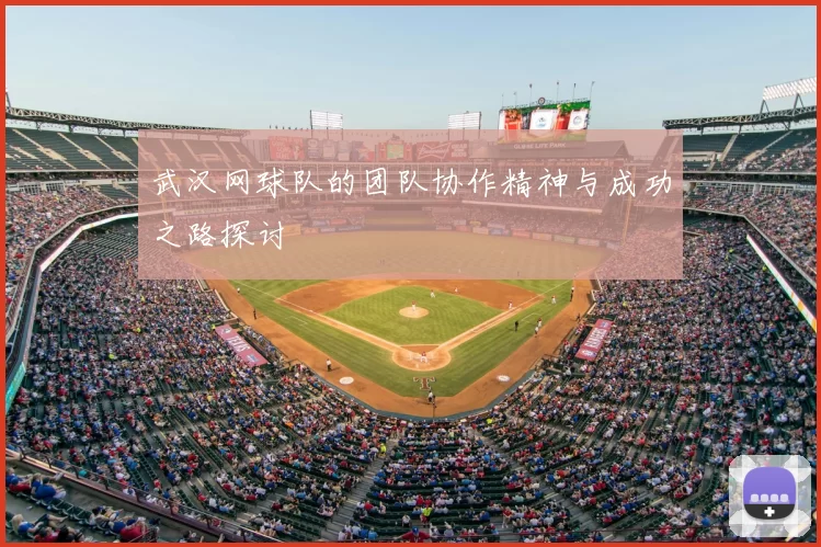 武汉网球队的团队协作精神与成功之路探讨