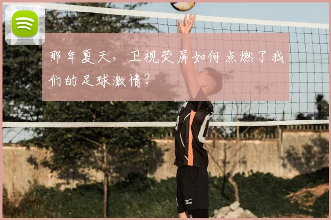 那年夏天,卫视荧屏如何点燃了我们的足球激情?