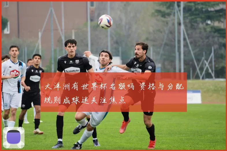 大洋洲有世界杯名额吗 资格与分配规则成球迷关注焦点