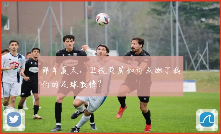 那年夏天,卫视荧屏如何点燃了我们的足球激情?