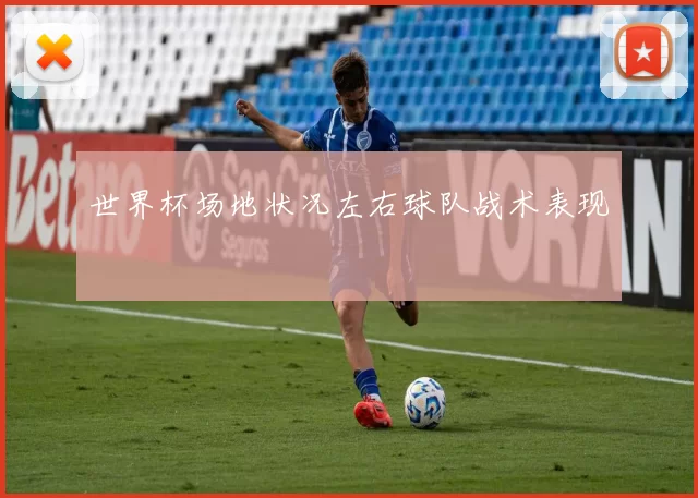 世界杯场地状况左右球队战术表现