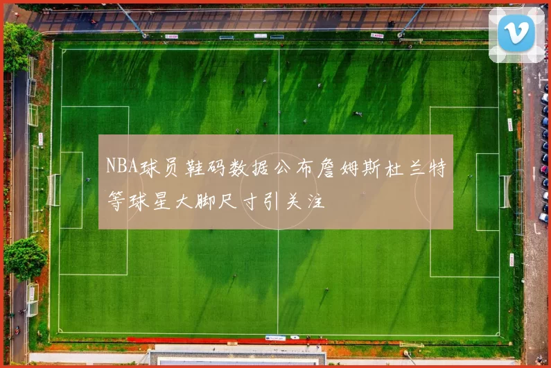 NBA球员鞋码数据公布詹姆斯杜兰特等球星大脚尺寸引关注