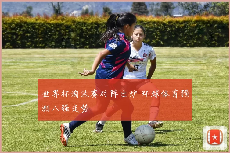 世界杯淘汰赛对阵出炉 环球体育预测八强走势