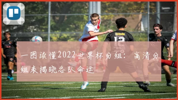 一图读懂2022世界杯分组：高清分组表揭晓各队命运