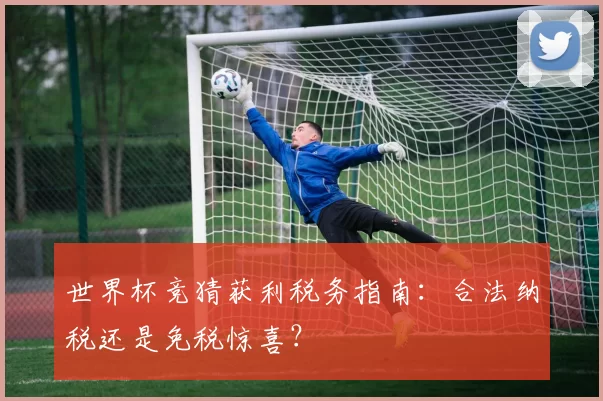 世界杯竞猜获利税务指南:合法纳税还是免税惊喜?