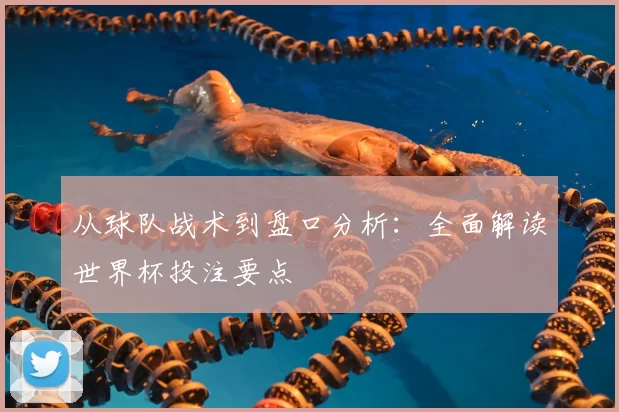 从球队战术到盘口分析：全面解读世界杯投注要点