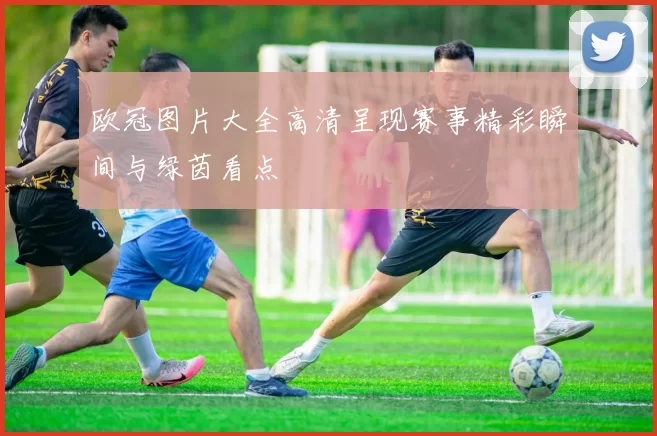 欧冠图片大全高清呈现赛事精彩瞬间与绿茵看点