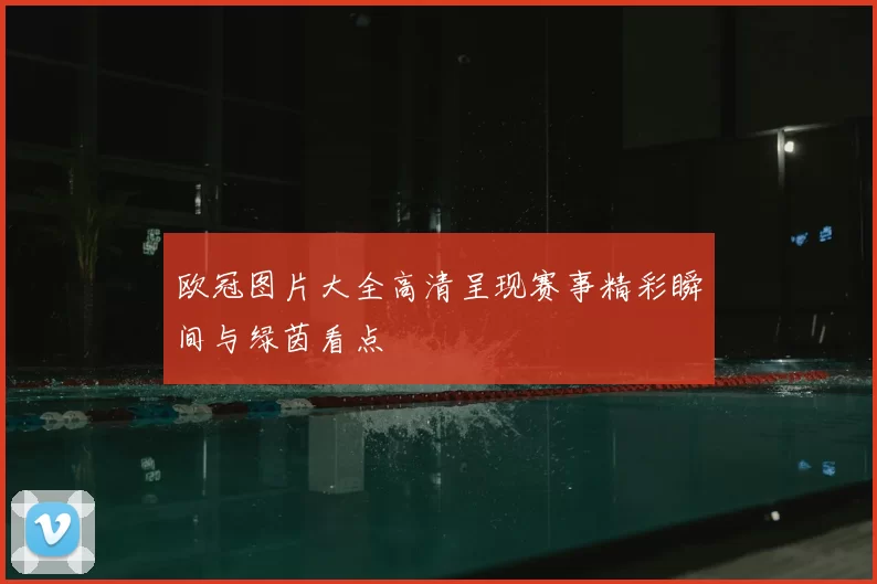 欧冠图片大全高清呈现赛事精彩瞬间与绿茵看点