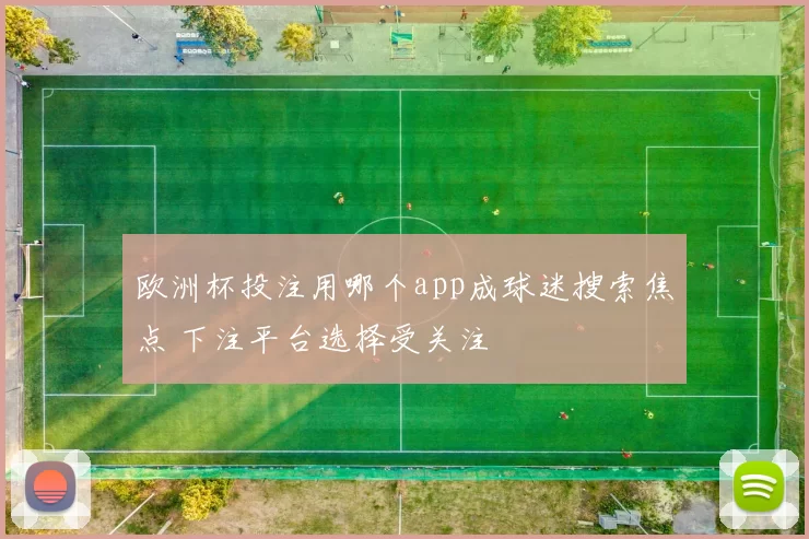 欧洲杯投注用哪个app成球迷搜索焦点 下注平台选择受关注