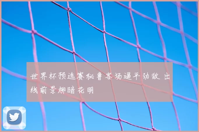 世界杯预选赛秘鲁客场逼平劲敌 出线前景柳暗花明