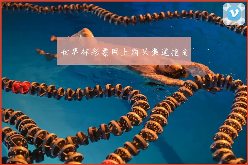 世界杯彩票网上购买渠道指南