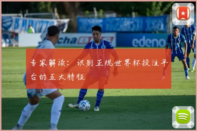 专家解读：识别正规世界杯投注平台的五大特征
