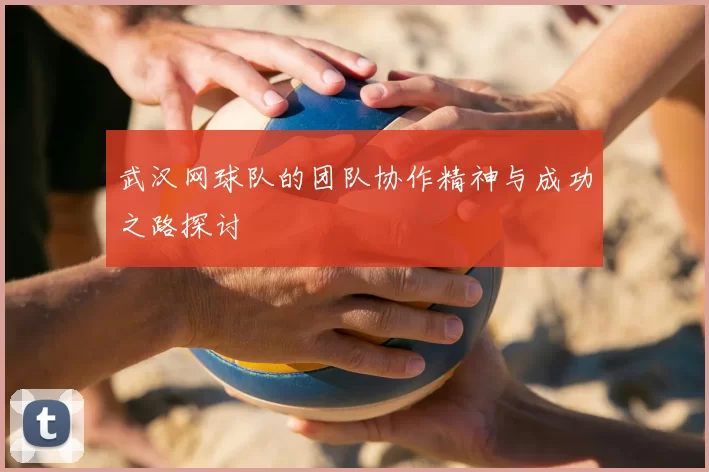 武汉网球队的团队协作精神与成功之路探讨
