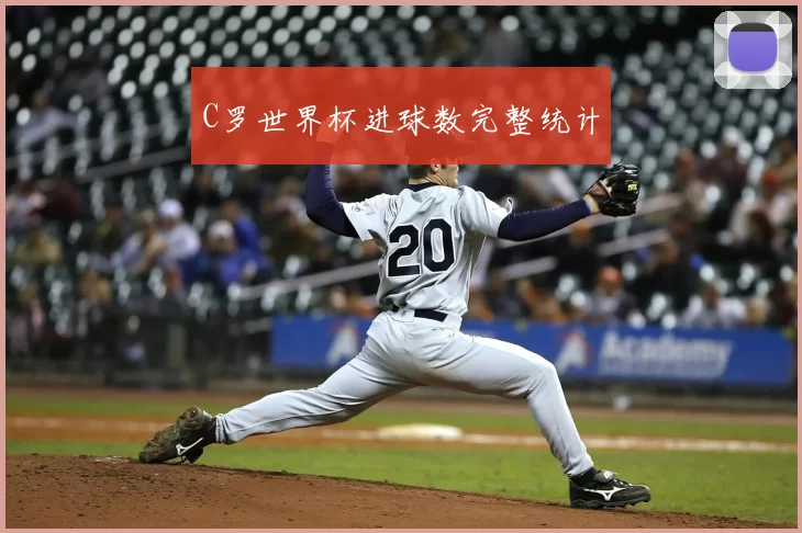 C罗世界杯进球数完整统计