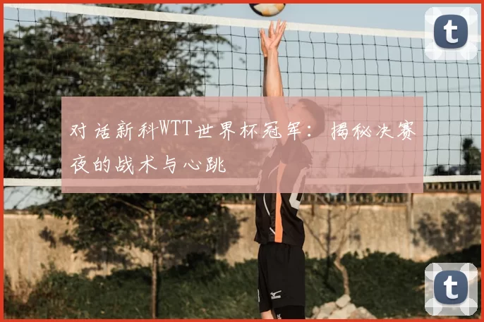 对话新科WTT世界杯冠军:揭秘决赛夜的战术与心跳