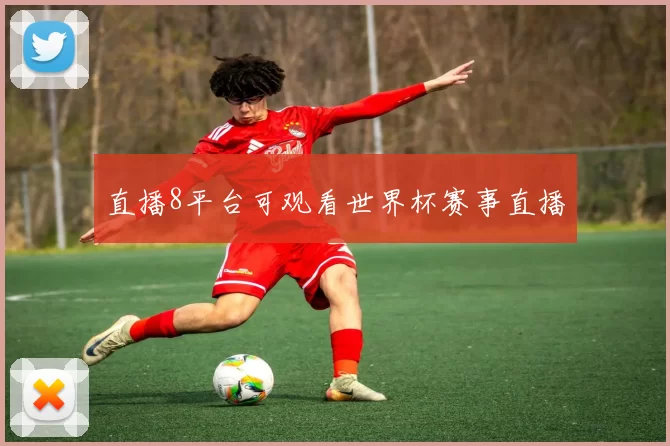 直播8平台可观看世界杯赛事直播