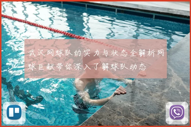 武汉网球队的实力与状态全解析网球巨献带你深入了解球队动态