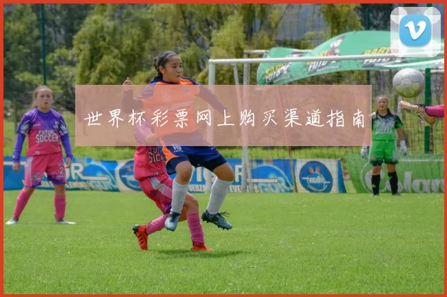世界杯彩票网上购买渠道指南